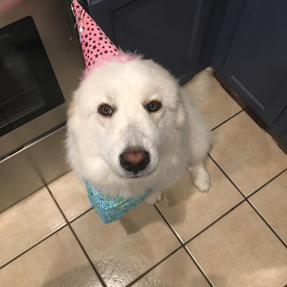 Meet your Posher, Chelsea